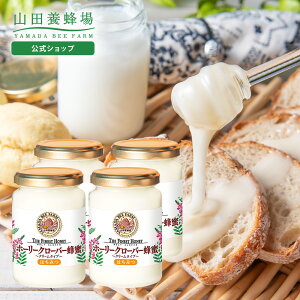 yRc{Iz z[[N[o[I ( LMXY ) 200g ×4{ OzT[gϔ݂͂ zCgnj[ ݂͂ Hו Hi N j    v  e 񂹃O 