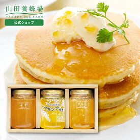 【山田養蜂場】はちみつ果実漬セット(ゆず・レモン)レモンはちみつ漬200g・ゆずはちみつ漬200g・アカシア蜂蜜200g×各1本※透明ラベル 詰め合わせ お取り寄せグルメ 高級 おしゃれ ラッピング メッセージカード 熨斗 ギフト 贈り物 お歳暮