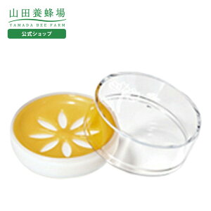 yRc{Iz΂g[ Mtg v[g lC N Ε