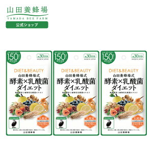 yRc{Izyf×_ۃ_CGbg(60×3) Mtg v[g NHi lC N Ε