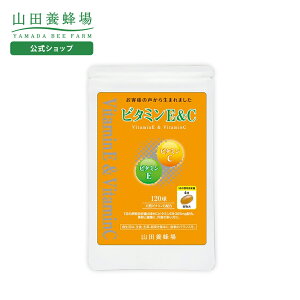 yRc{Izr^~EC 120/ܓ Mtg v[g Tvg N⏕Hi N lC N Ε