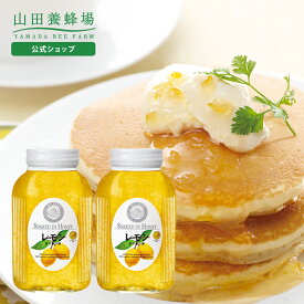 【山田養蜂場】レモンはちみつ漬 900g×2本 はちみつ ハチミツ 蜂蜜漬け レモン レモネード レモンスカッシュ ジャム 果肉 ハニー 国産 人気 高級 お取り寄せグルメ ギフト プレゼント 贈り物 バレンタイン