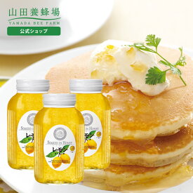 【山田養蜂場】レモンはちみつ漬 900g×3本 ギフト プレゼント 贈り物 食べ物 食品 はちみつ ハチミツ 蜂蜜漬け レモン レモネード 健康 人気 健康 お取り寄せグルメ 高級 国産 バレンタイン