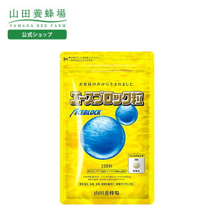 yRc{IzG[XubN 120/ܓ Mtg v[g NHi lC N  Ε