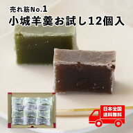 表面が固い 小城羊羹 お試し12個入り【メール便送料無料】※表面が固いタイプ（お配り物 おためし 抹茶 …