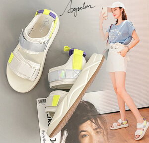 RtH[g V[Y@fB[XX|[cT_@@3FpT_@₷ ā@@r[`T_@3cm@@22`25.5cm@ɂ@ʋ ʊw@10`40