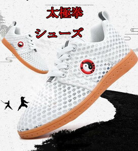 Jt[V[Y vC ɌV[Y _XC ԃV[Y@ʋC悢ɌC _炩@ăJt[V[Y@KpXj[J[@Ɍ jp@LbYp21cm-27.5cm@p@j