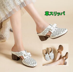 Xbp@fB[XT_@ꃌU[Xbp@[q[@~[5cm {@ԕ@ʋC悢[t@[@؂񂱁@GXjbN vC _炩 ₷ 