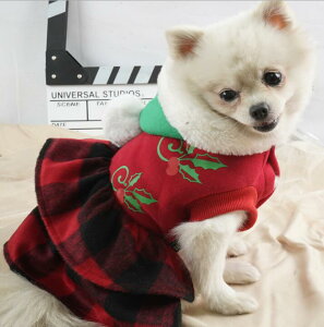 NX}Xߑ  hbOEFA `bN s[X nECߑRXv ybgEGA LEFA ybg H~ RXvߑ Lϑ RXv NX}Xϑ BeCOSPL