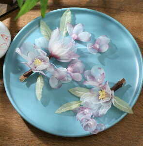  ?ԁ@J`[V ؕRXv wAANZT[ ؃ObY Ñ{tW񂴂 ؕXe[WRXv p ؂₩ RX`