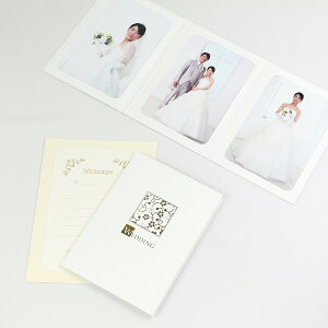 y[p[ tHgt[ ʐ^䎆  EGfBO 2LTCY 3ʃ^e WEDDING/ zCg