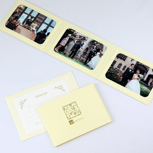 y[p[ tHgt[ ʐ^䎆  EGfBO 2LTCY 3ʃR WEDDING/ N[
