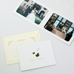 y[p[ tHgt[ ʐ^䎆  EGfBO Happy Wedding_pigeon 2LTCY 2ʃR zCg