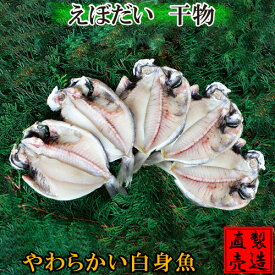 楽天市場 エボダイの通販