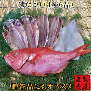 いか一夜干し その他の魚介類の人気商品 通販 価格比較 価格 Com