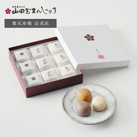 【公式】山田屋まんじゅう3種詰め合わせ まんじゅう お中元 熨斗対応 のし対応 和菓子 夏ギフト ギフト プレゼント 敬老の日 贈答 個包装 密封包装 手土産 内祝い