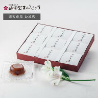 【公式】水羊羹 和菓子 水ようかん ようかん 贈答 ギフト手土産 内祝い スイーツ ひんやりデザート