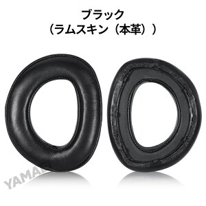 for sennheiser hd800 hd700 p C[pbhC[pbh?[nCU[ C[Jo[ C[s[X wbhz pbh ?Jo[?ZnCU[ hd800 wbhzpbh I[fBI A