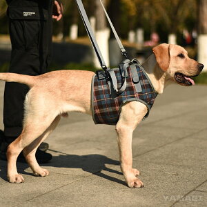ペット 歩行補助ハーネス 犬用 介護 ハーネス 犬 老犬介護用 歩行補助ハーネス ケア用品 小型犬 中型犬 大型犬 老犬に適用 ペット用品 ペットグッズ 犬用品