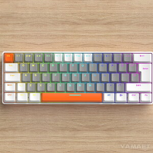 60% JjJL[{[h Q[~OL[{[h USB LL[{[h 62L[ /Ԏ Type-CL z_[ ^ RGBCg dp/Q[p eL[X 62L[ 60% Windows/Mac OS/ipad/ps5/XCb`