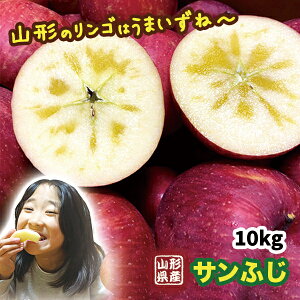 󂠂  R`YTӂ 10kg ol yR`Y/󂠂/S/ь//ӂ/Tӂ/p/ƒp/ʕ/t[c/lC//R`/z