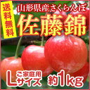 【送料無料】山形のさくらんぼはうまいずね〜山形県産 さくらんぼ 佐藤錦 Lサイズ 1kgバラ ご自宅用【6月中旬より発送】