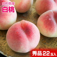 山形県産 白桃 22玉入 約5kg ご家庭用に贈り物にたっぷり大満足 【ヤマトクール便発送】