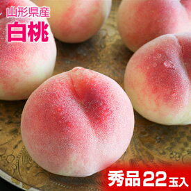 山形県産 白桃 22玉入 約5kg ご家庭用に贈り物にたっぷり大満足 【ヤマトクール便発送】