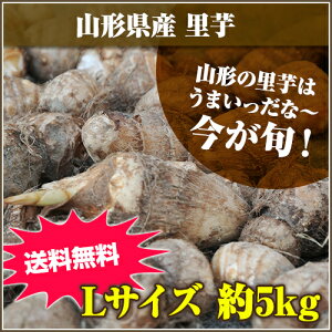 R`̗͂܂ȁ`R`Y  LTCY 5kg