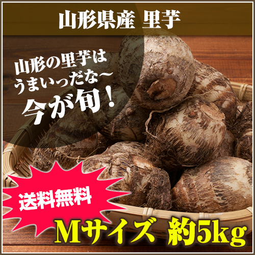 山形の里芋はうまいっだな～ 山形県産 お得なキャンペーンを実施中 里芋 Mサイズ 5kg 安全