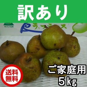 󂠂 EtX R`Y TCY낢 5kgi1220xjƔ_͔|  \񏤕i tX ӂ m mȂ t[c t[c  ʕ  