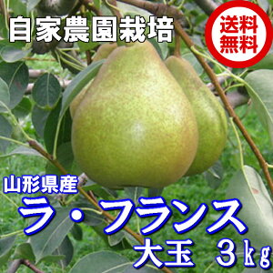 EtX R`Y p 3kg  7ʁ`8ʓ 4L`5L \񏤕i Ɣ_͔|  tX ӂ m mȂ  t[c ʕ    R` 