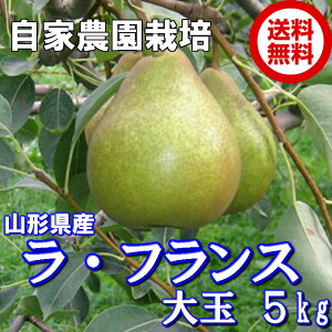 EtX R`Y p 5kg  12ʁ`14ʓ 4L`5L \񏤕i Ɣ_͔|  tX ӂ m mȂ  t[c ʕ    R` 
