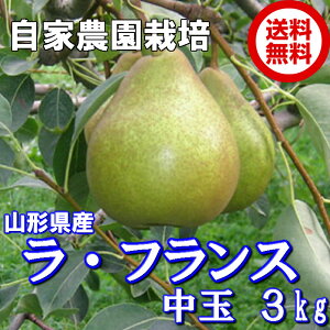 EtX R`Y p 3kg  9ʁ`11ʓ 2L`3L tX ӂ  m mȂ miV m t[c ʕ  t[cMtg ʕ  