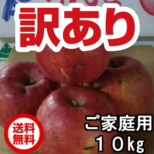  󂠂 Tӂ R`Y TCY낢 10kgi24`40xj t[c ʕ R` 킯 \񏤕i