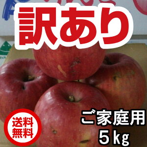  󂠂 Tӂ R`Y TCY낢 5kgi14`20xj t[c ʕ R` 킯 \񏤕i