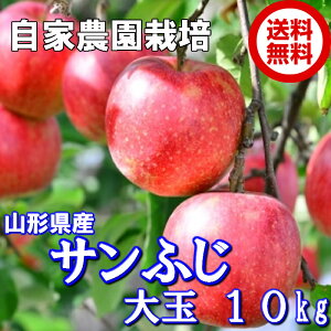  Tӂ R`Y p 10kg G  24ʁ`32ʓ t[c ʕ R` i Mtg \񏤕i
