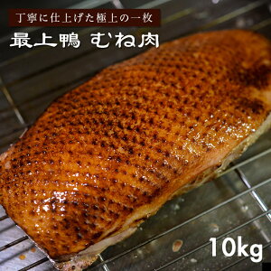 Ɩpi _ƒyނ˓ 10kgȏ 30ȏz wT ŏ㊛   ē Ⓚ R` YӔC M
