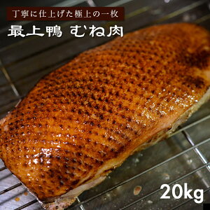 Ɩpi _ƒyނ˓ 20kgȏ 60ȏz wT ŏ㊛   ē Ⓚ R` YӔC M }֔