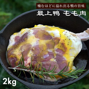 _ƒyŏ㊛ t 2kgȏ 8ȏz Y R` 呠Y YӔC M