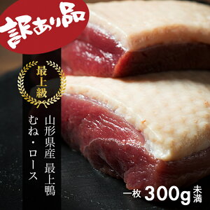 ז聚󂠂Ăy ނ˓ 1 300gzʌ ŏ㊛   ē Y R` 呠 YӔC M Ɖa 蔲đ厖ɈĂYA