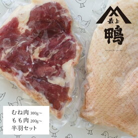 【鴨の最上級を目指して！ 山形県大蔵村産】最上鴨の半羽セット