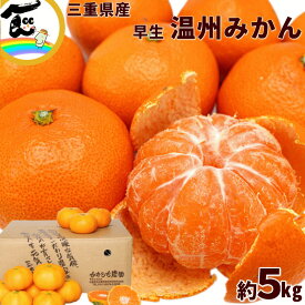 みかん 三重県 かきうち農園 早生 温州みかん 秀品 5kg　※サイズお任せ