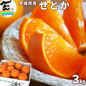 Ƃ݂ Ƃ Q QY Ƃ GDNX 3kg (M`2L) ʐC