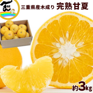 É ܂Ȃ Od OdY ؐ É 3kg i L`3LTCYj