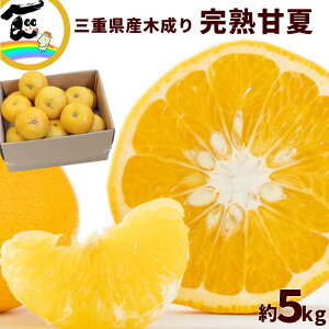 É ܂Ȃ Od OdY ؐ É 5kg i L`3LTCYj