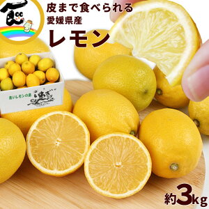  Y QY ܂ŐHׂ  GDNX 3kg (M`2L) ʐC