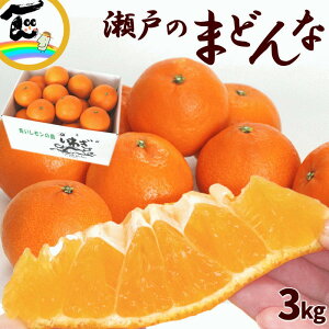 みかん 愛媛県 岡野農園 瀬戸のまどんな 3kg(12〜18個) 秀品