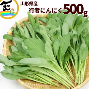 R R`Y s҂ɂɂ (͔|) 500g 傤ɂɂ R