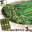 【セール】山菜 山形県産 天然 生わらび 3kg 山菜 蕨 わらび 天然 ワラビ